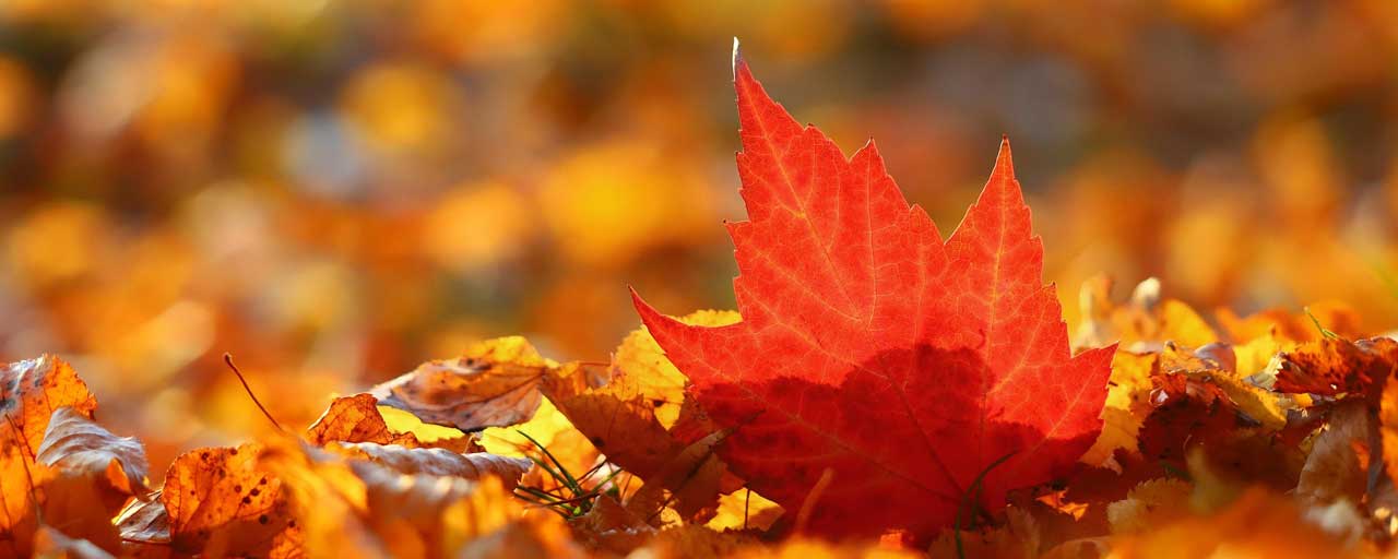 Hausarztpraxis Renz Urlaubszeiten